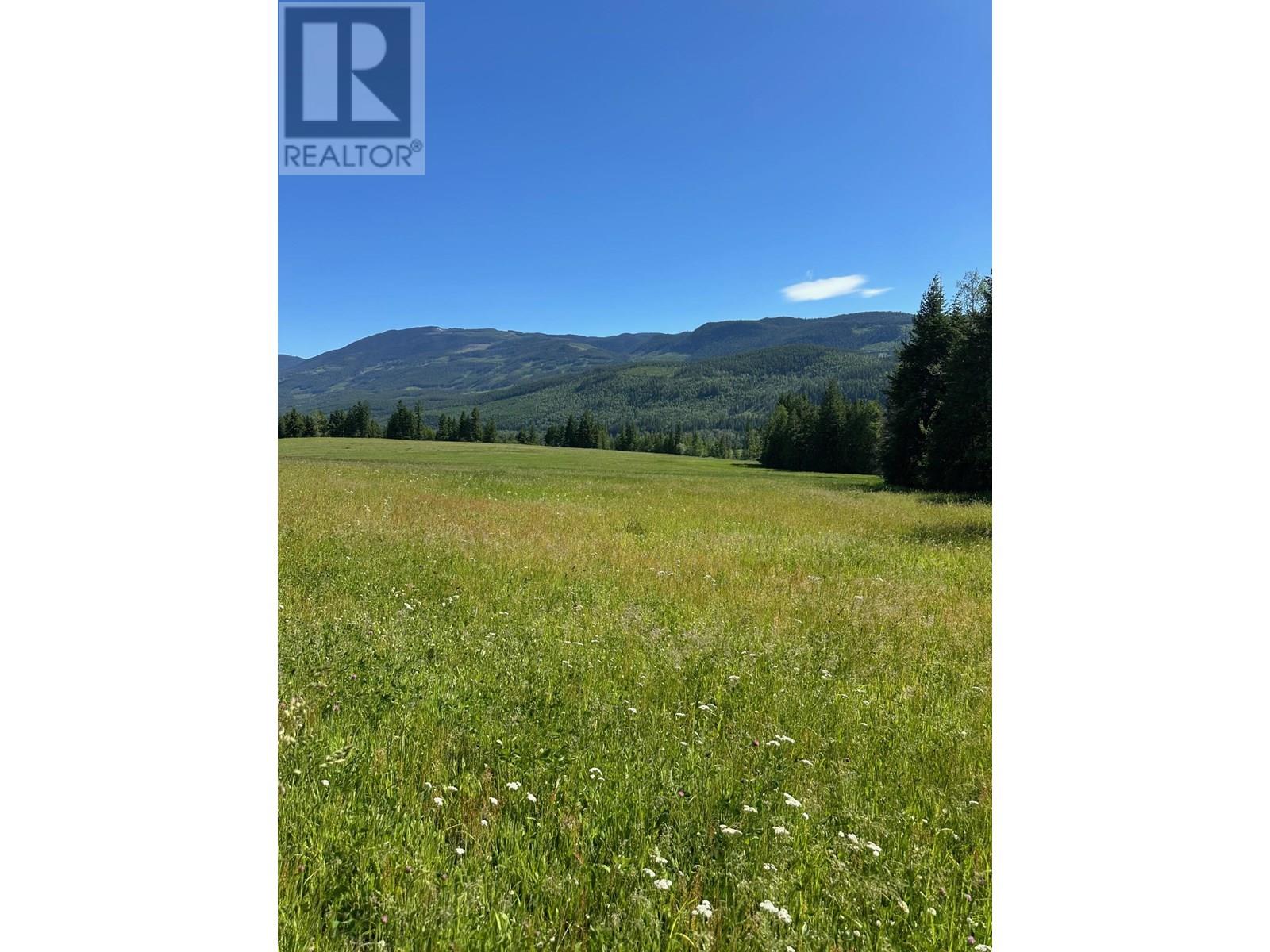 943 Raft River Road, Clearwater, British Columbia  V0E 1N1 - Photo 13 - 10349762
