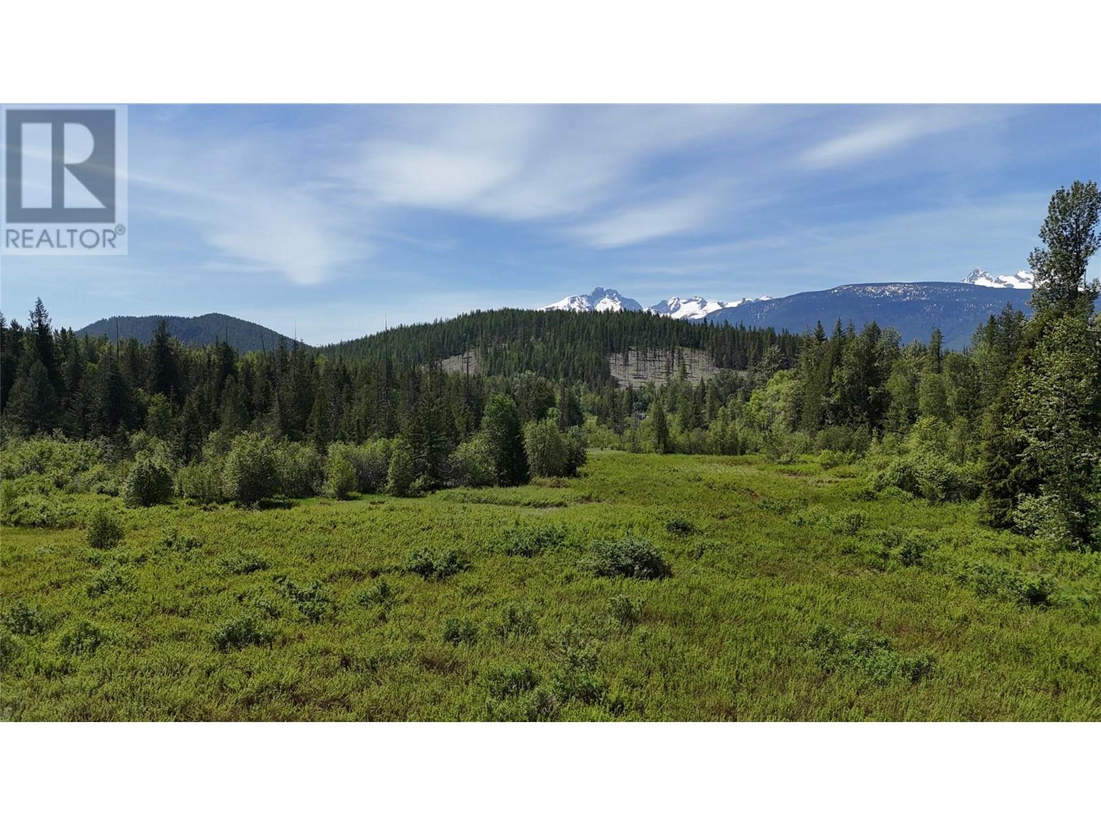20 Highway 31 Highway, Galena Bay, British Columbia  V0G 1R0 - Photo 20 - 10351060