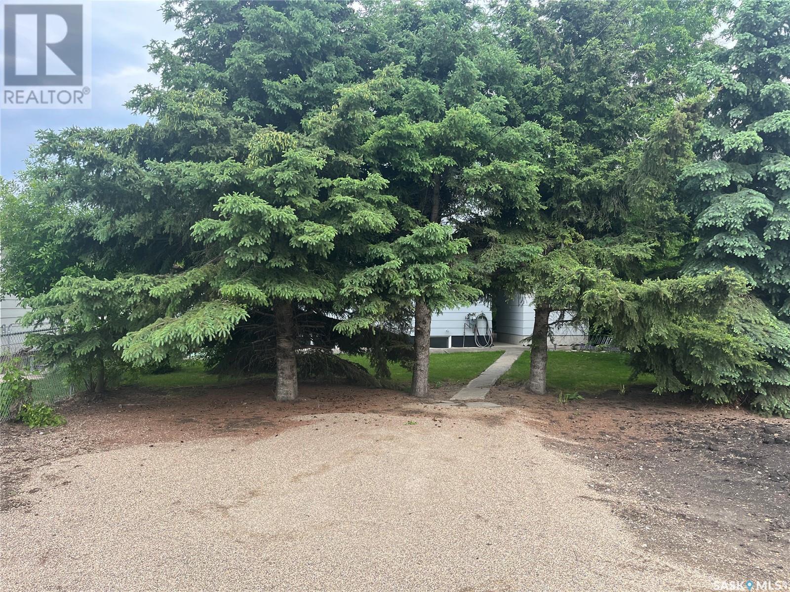 225 1st Street Nw, Wadena, Saskatchewan  S0A 4J0 - Photo 8 - SK008971