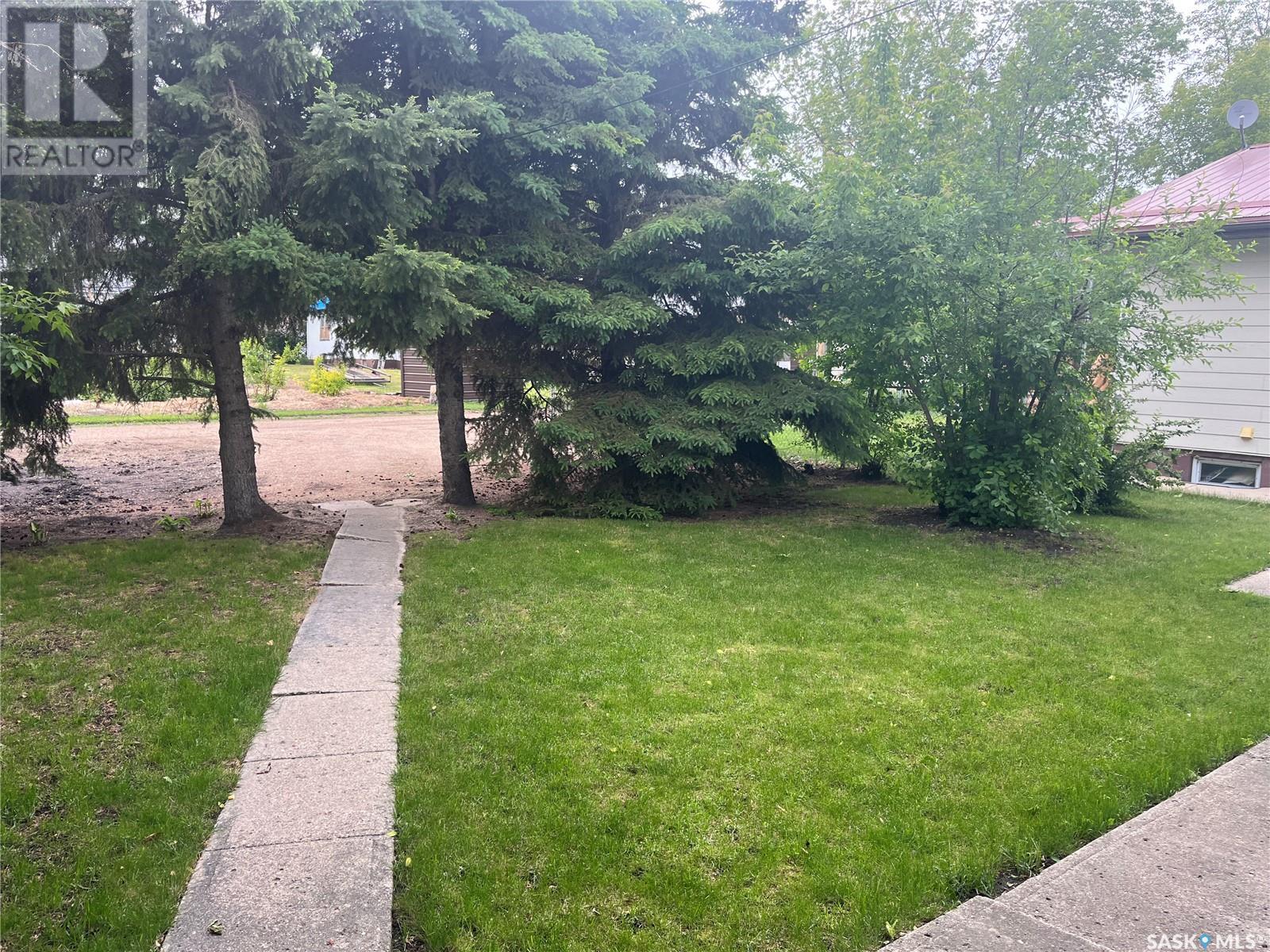 225 1st Street Nw, Wadena, Saskatchewan  S0A 4J0 - Photo 6 - SK008971