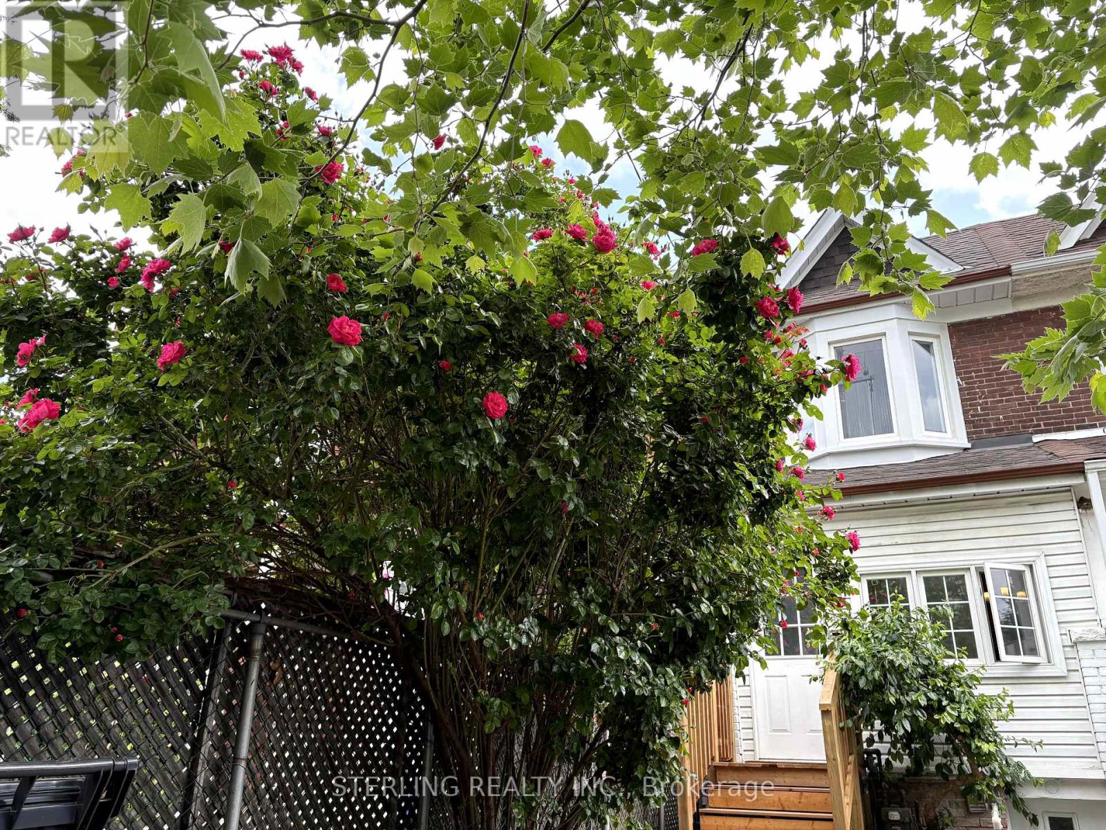 13 Auburn Avenue, Toronto, Ontario  M6H 2L6 - Photo 2 - W12165576