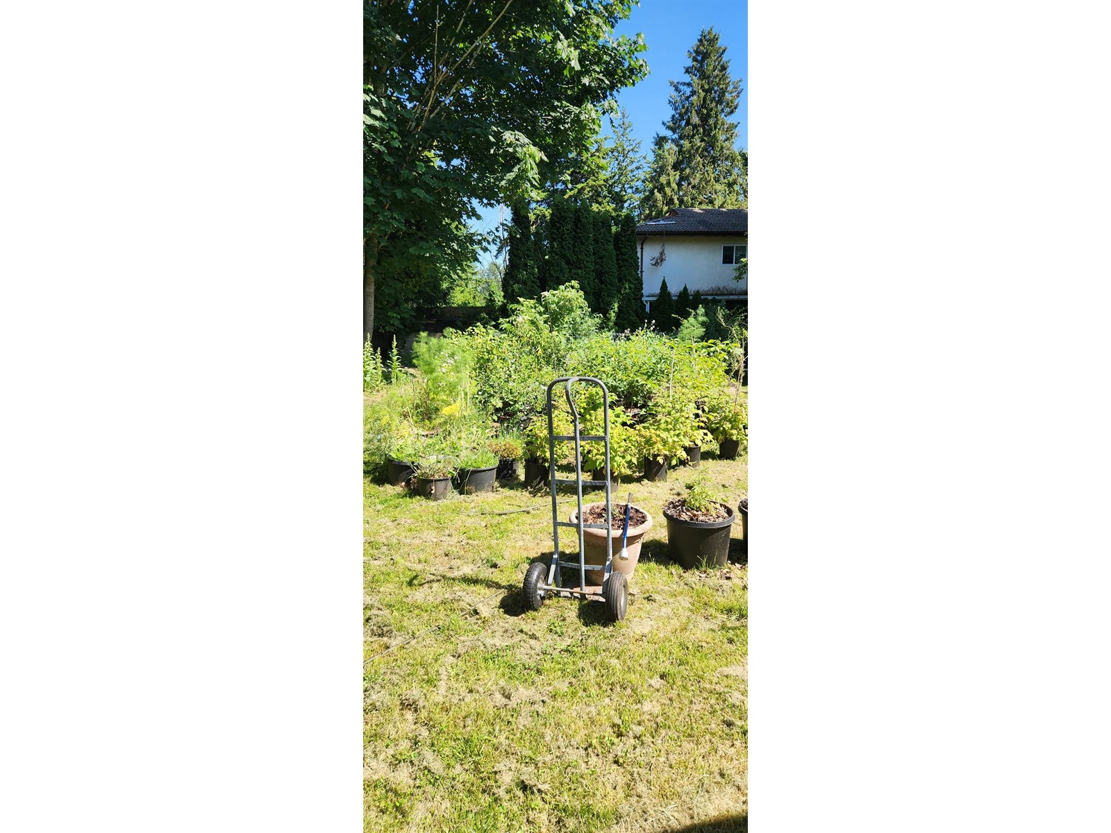 8631 Brooke Road, Delta, British Columbia  V4C 4G2 - Photo 5 - R3012730