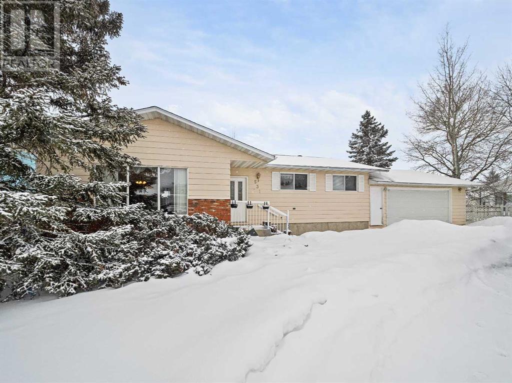 531, 7 Th Street Se, Three Hills, Alberta  T0M 2A0 - Photo 1 - A2193182
