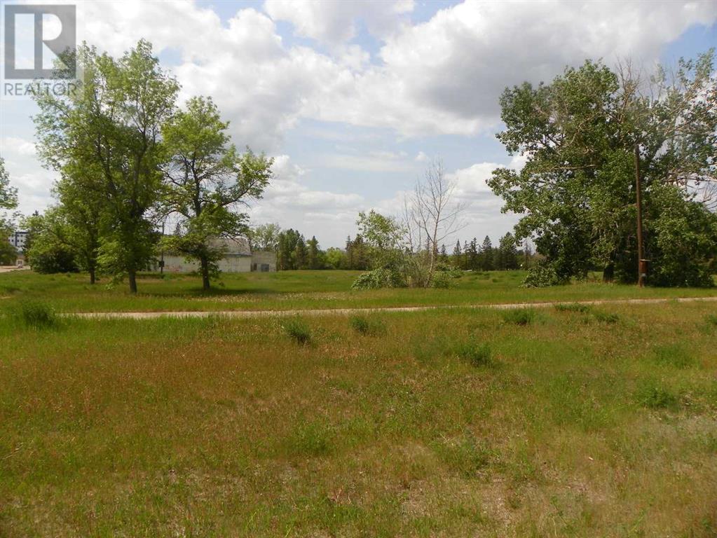 716, 3 Street, Three Hills, Alberta  T0M 2A0 - Photo 1 - A2227648