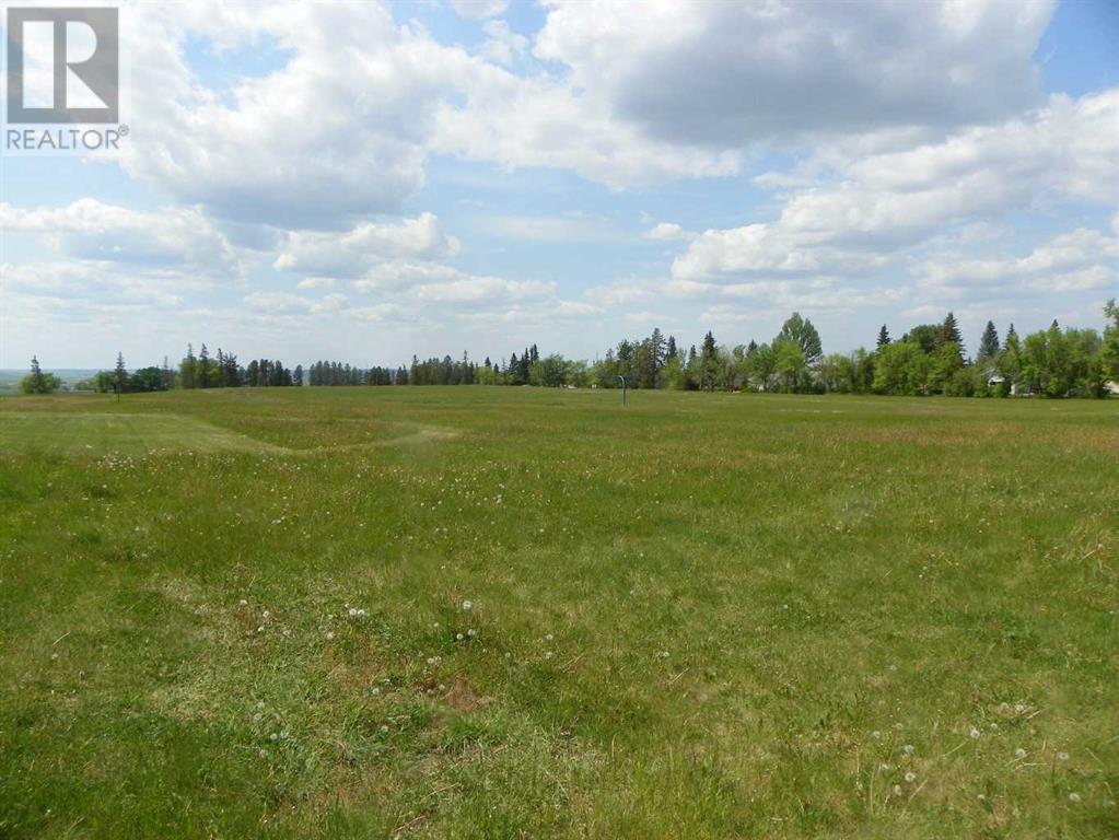 6 Ave Avenue Ne, Three Hills, Alberta  T0M 2A0 - Photo 1 - A2227778