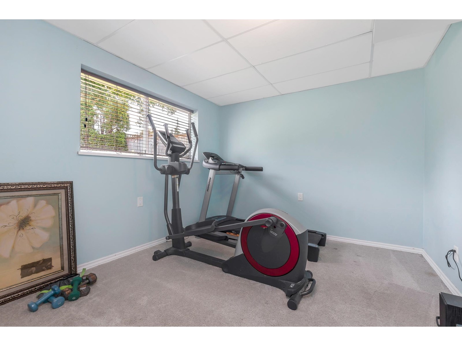 3606 Latimer Street, Abbotsford, British Columbia  V2S 6X4 - Photo 23 - R3013596