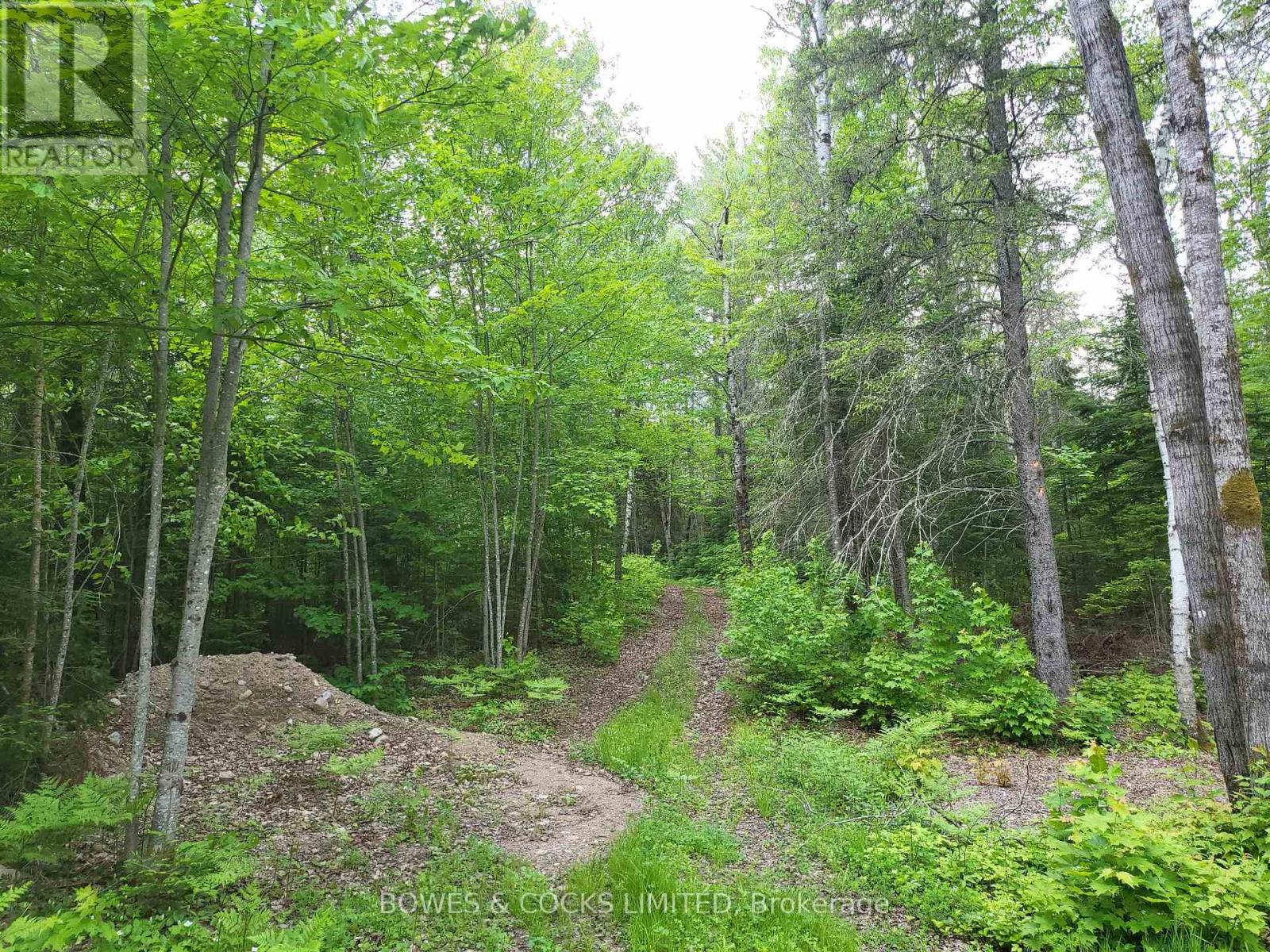 447 Frantz Road, Hastings Highlands, Ontario  K0L 2S0 - Photo 44 - X12208891