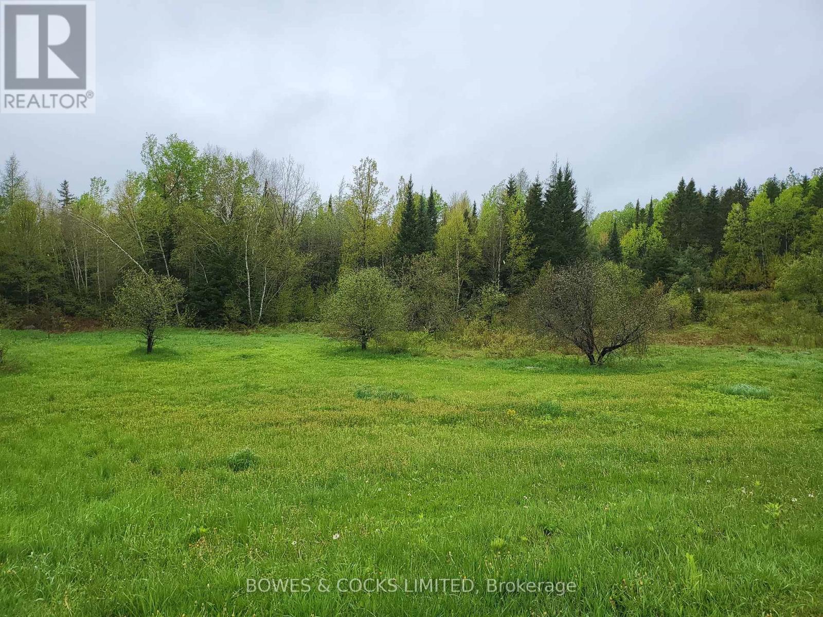 447 Frantz Road, Hastings Highlands, Ontario  K0L 2S0 - Photo 39 - X12208891