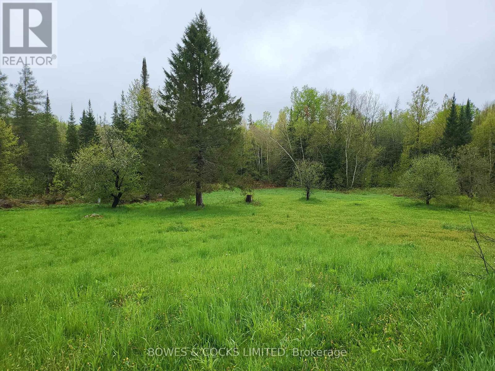 447 Frantz Road, Hastings Highlands, Ontario  K0L 2S0 - Photo 37 - X12208891