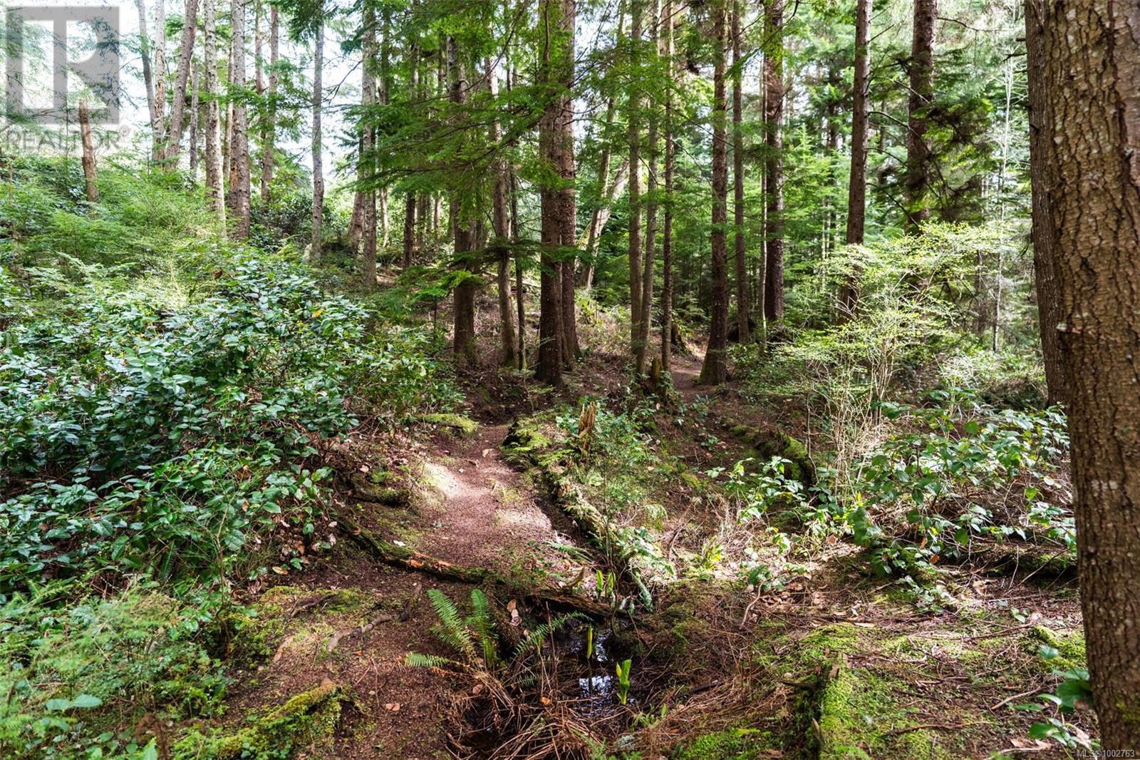 2601 Seaside Dr, Sooke, British Columbia  V9Z 1G7 - Photo 63 - 1002763