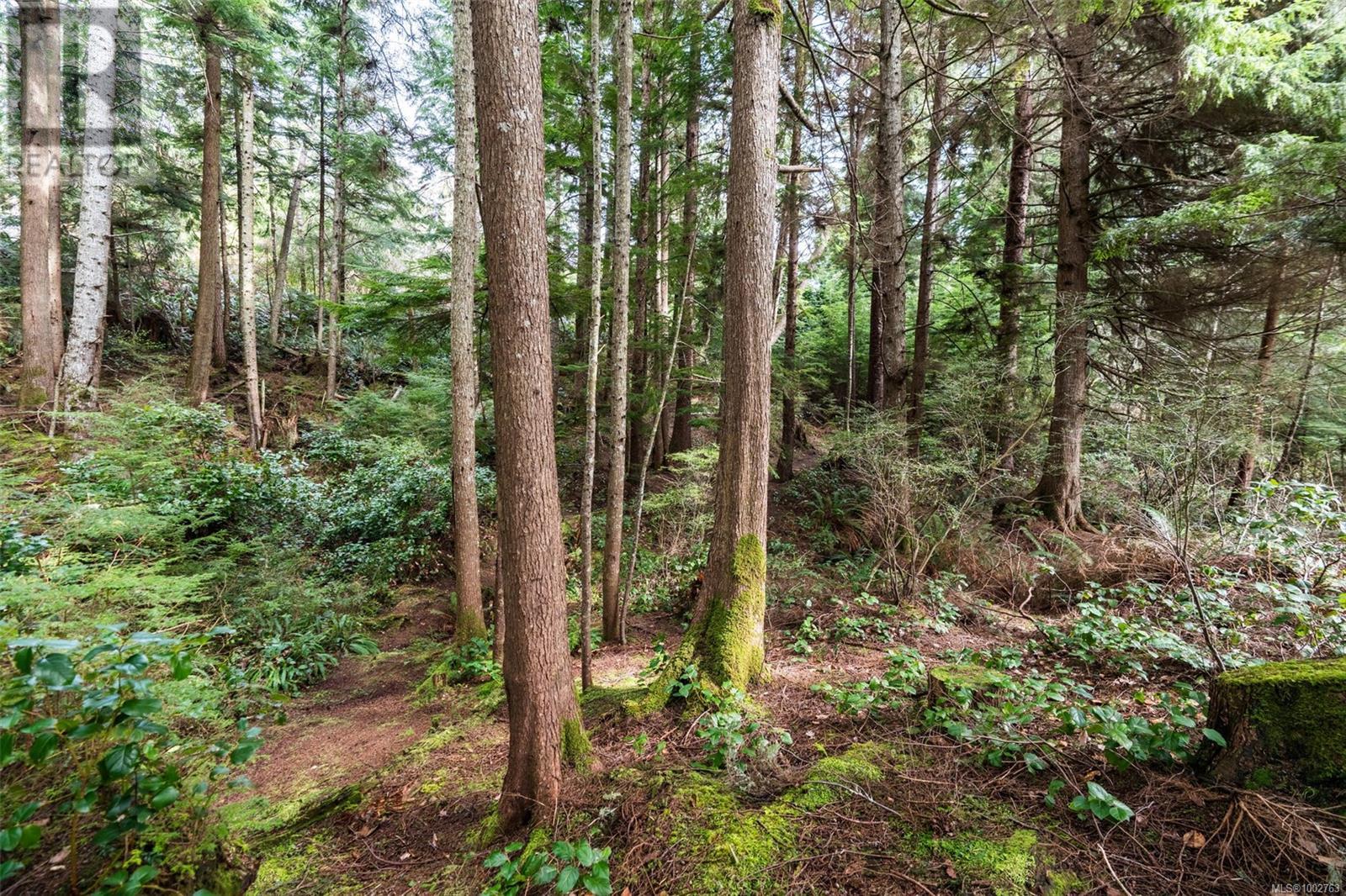 2601 Seaside Dr, Sooke, British Columbia  V9Z 1G7 - Photo 62 - 1002763