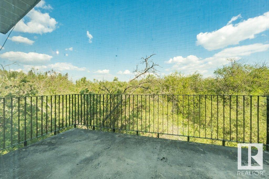 A315 2 Av, Rural Wetaskiwin County, Alberta  T0C 1X0 - Photo 45 - E4441525