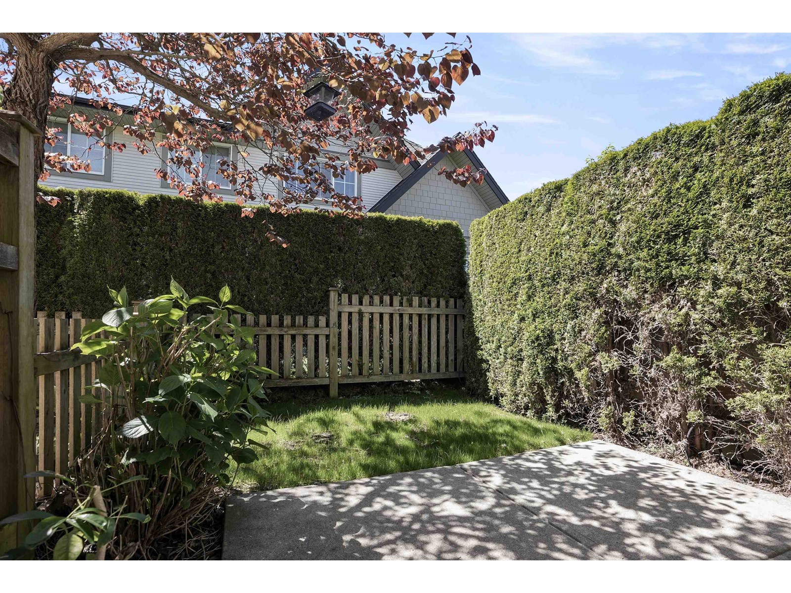 204 2501 161a Street, Surrey, British Columbia  V3S 7Y6 - Photo 3 - R3008371