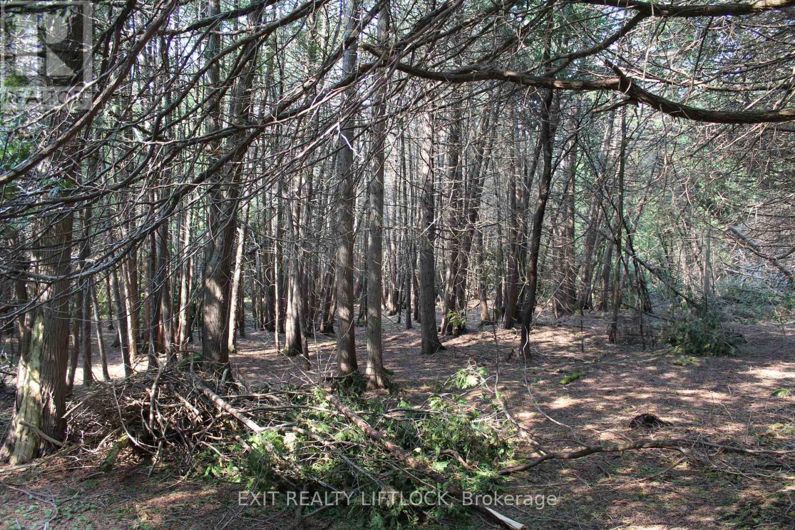 65 Kenrei Road, Kawartha Lakes, Ontario  K9V 4R1 - Photo 44 - X12202507