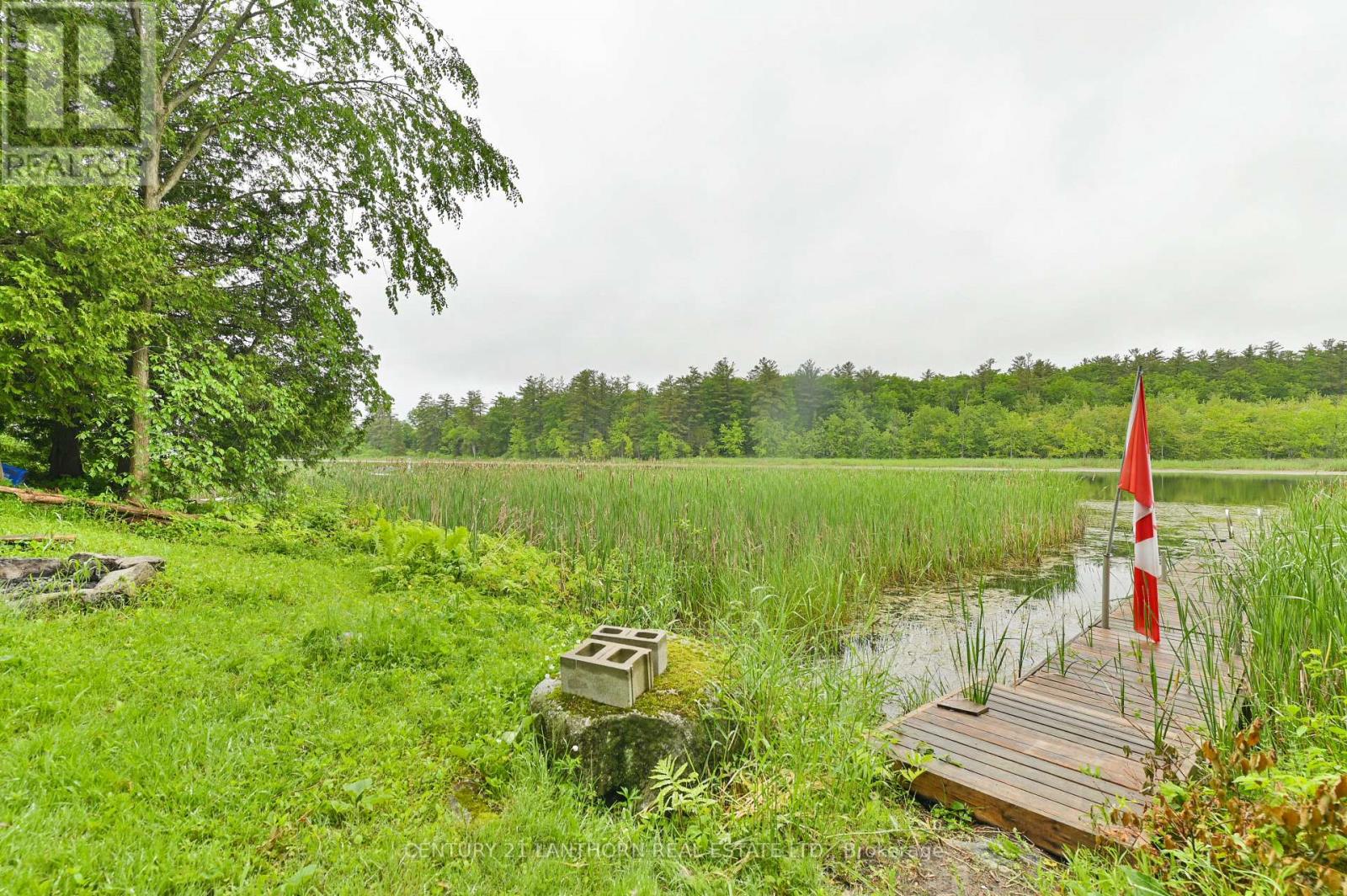 135 Camp Lane, Tweed, Ontario  K0K 3J0 - Photo 39 - X12209816