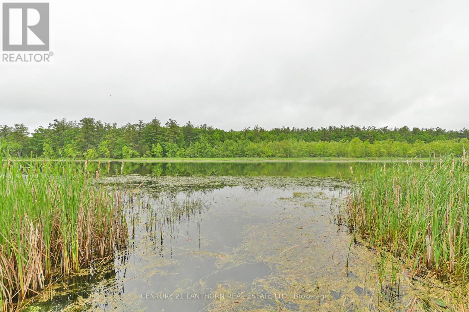 135 Camp Lane, Tweed, Ontario  K0K 3J0 - Photo 40 - X12209816