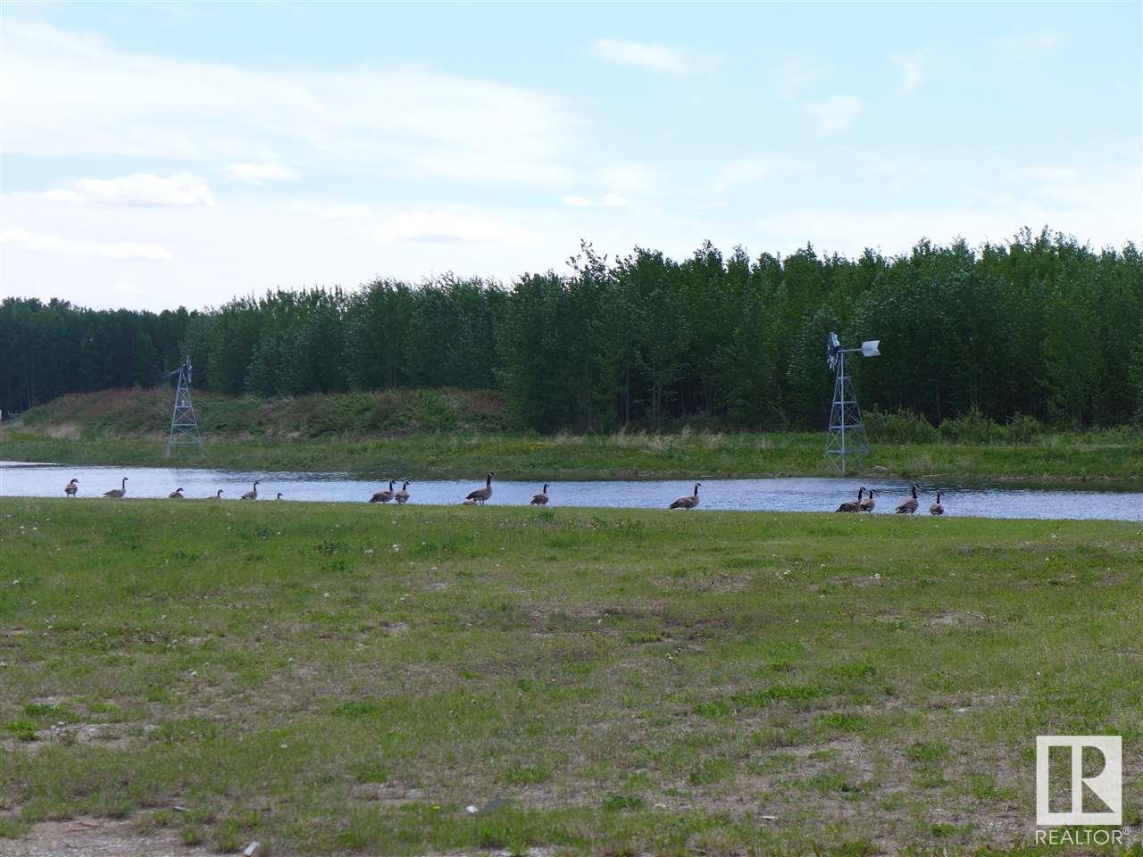 5 3410 Ste Anne Tr, Rural Lac Ste. Anne County, Alberta  T0E 0A1 - Photo 38 - E4440419