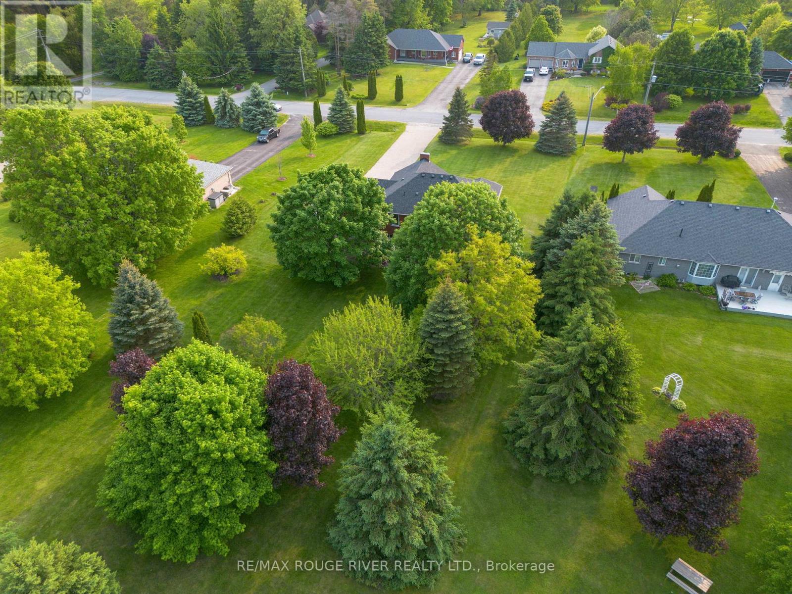 14 Deerfield Drive, Hamilton Township, Ontario  K9A 4J9 - Photo 41 - X12199783