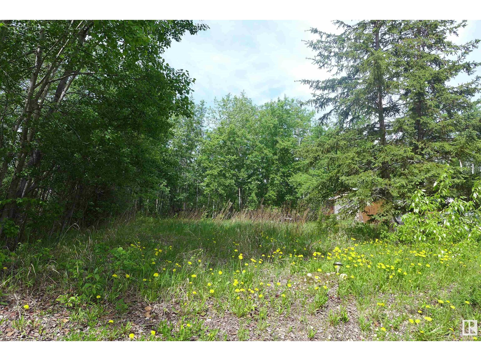 5430 Hghway 16, Rural Parkland County, Alberta  T0E 0W0 - Photo 7 - E4440453