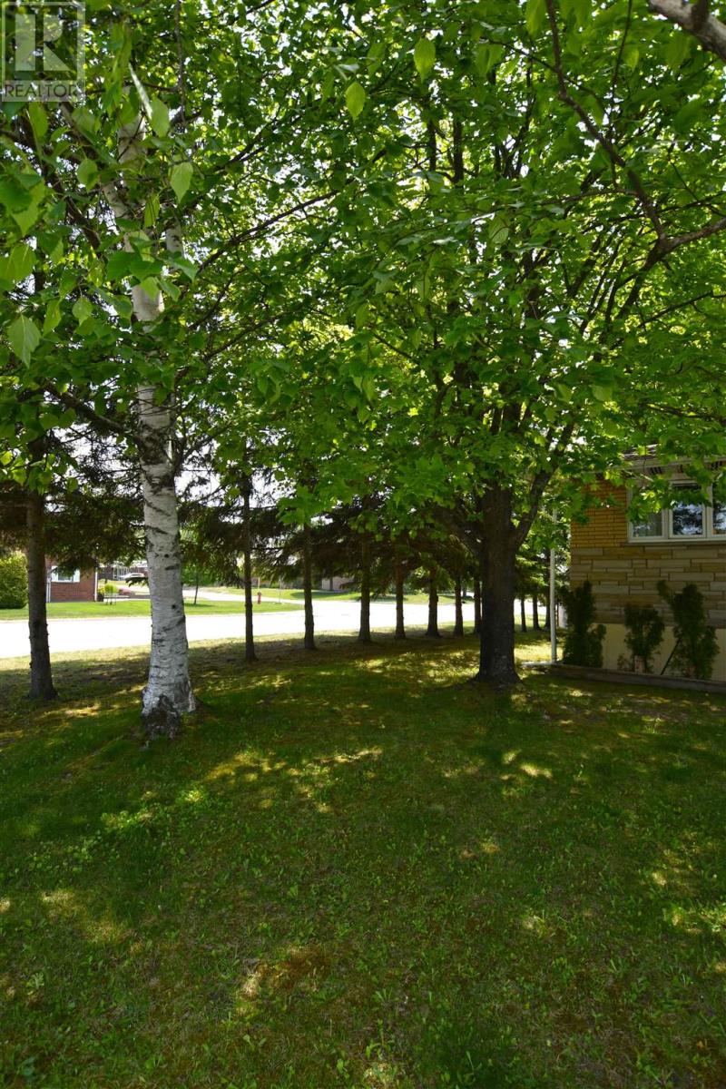 106 Knox Ave, Sault Ste. Marie, Ontario  P6B 3X9 - Photo 6 - SM251492