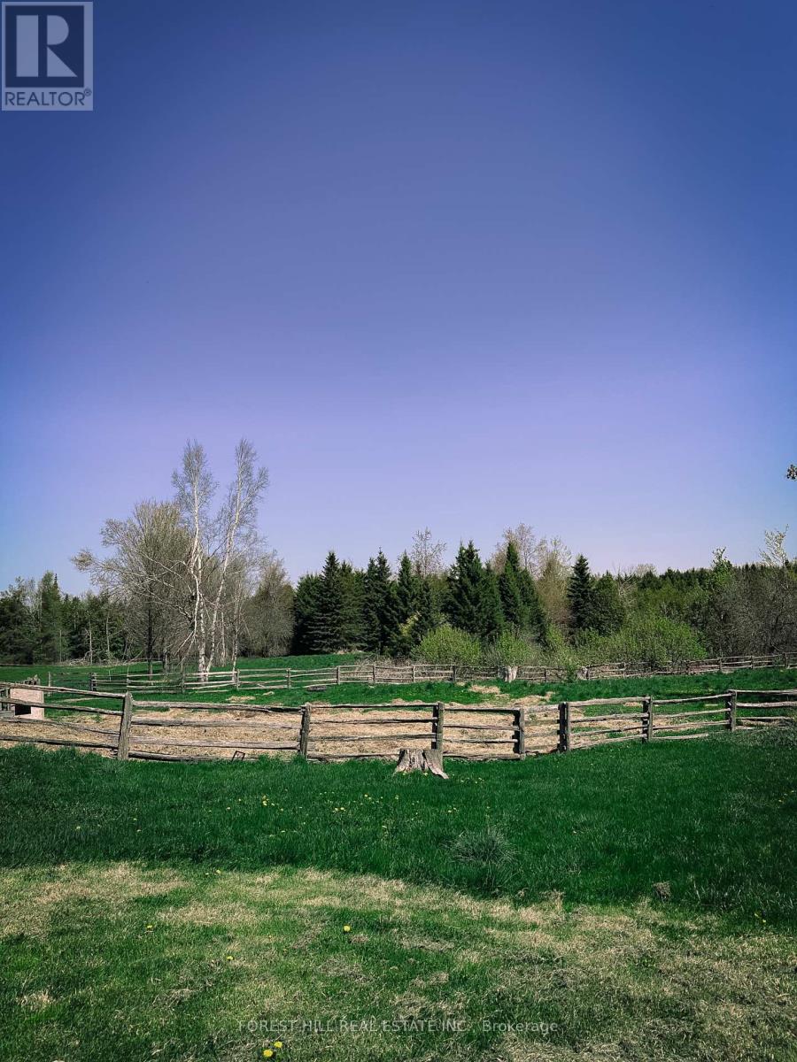 486289 30th Side Road, Mono, Ontario  L9V 1G7 - Photo 8 - X12157229
