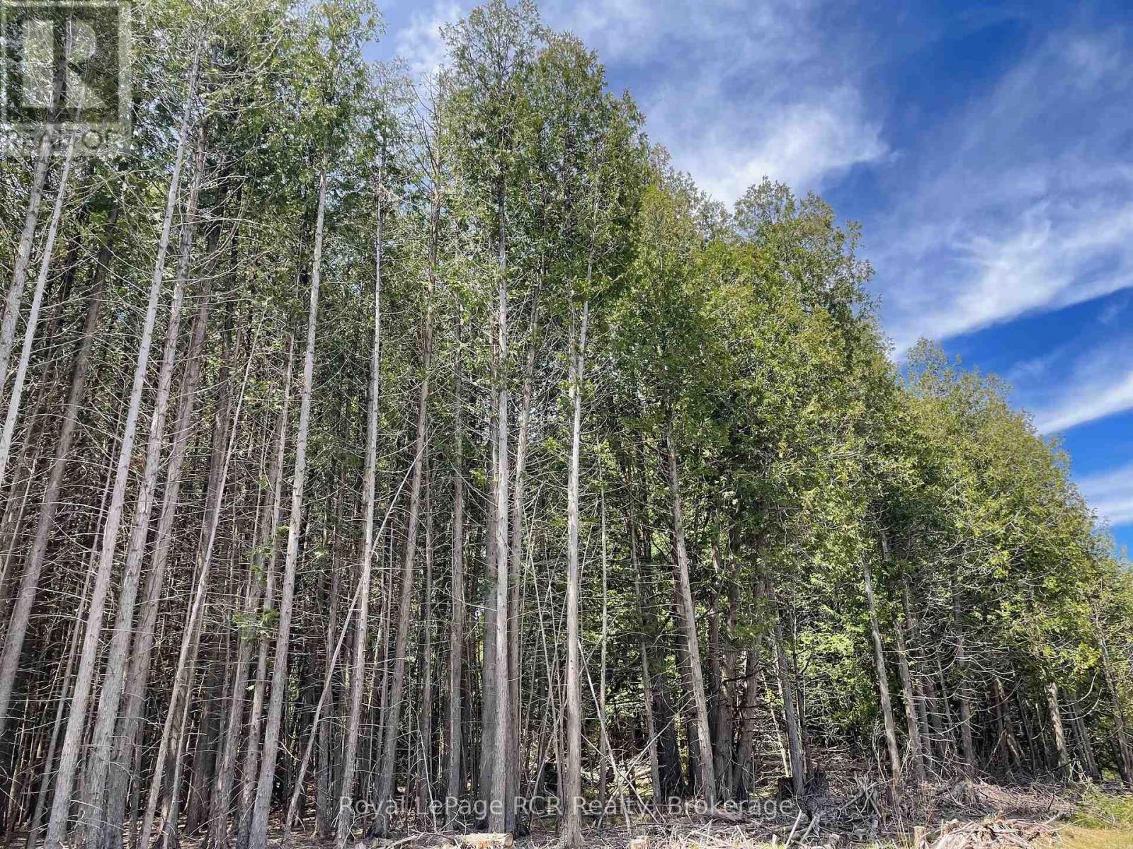 N/a Concession 6, West Grey, Ontario  N0C 1K0 - Photo 10 - X12207098