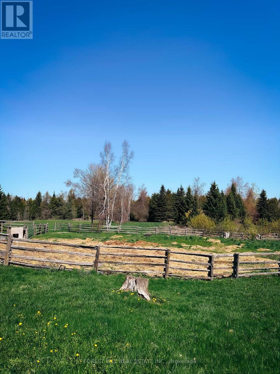 486289 30th Side Road, Mono, Ontario  L9V 1G7 - Photo 12 - X12157229