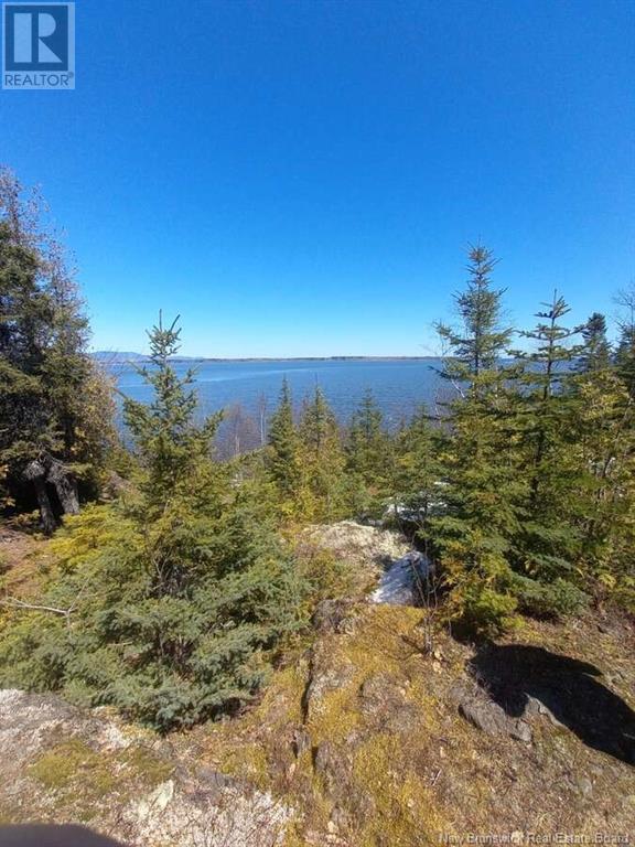 0 Mercier Road, New Mills, New Brunswick  E8B 1C9 - Photo 2 - NB120516