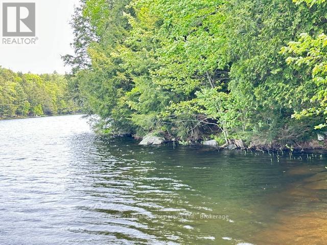 4 Turtle Lane, Mckellar, Ontario  P2A 0B4 - Photo 19 - X12210790