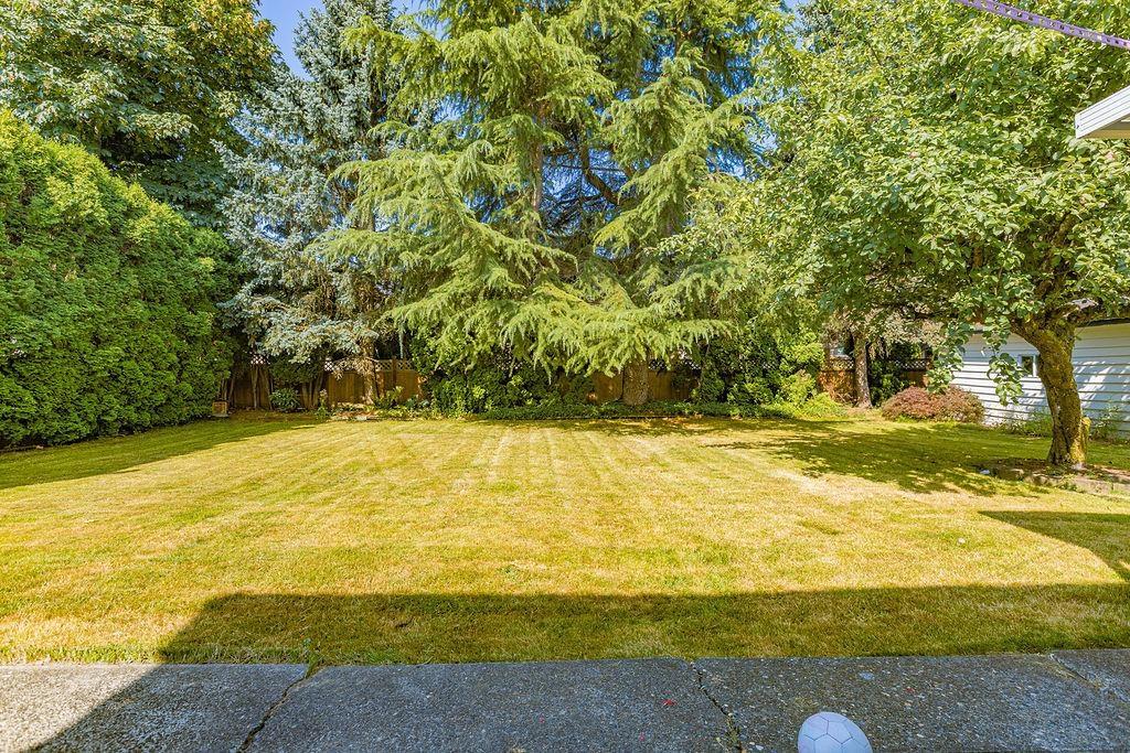 3373 196a Street, Langley, British Columbia  V3A 7X1 - Photo 21 - R3013814