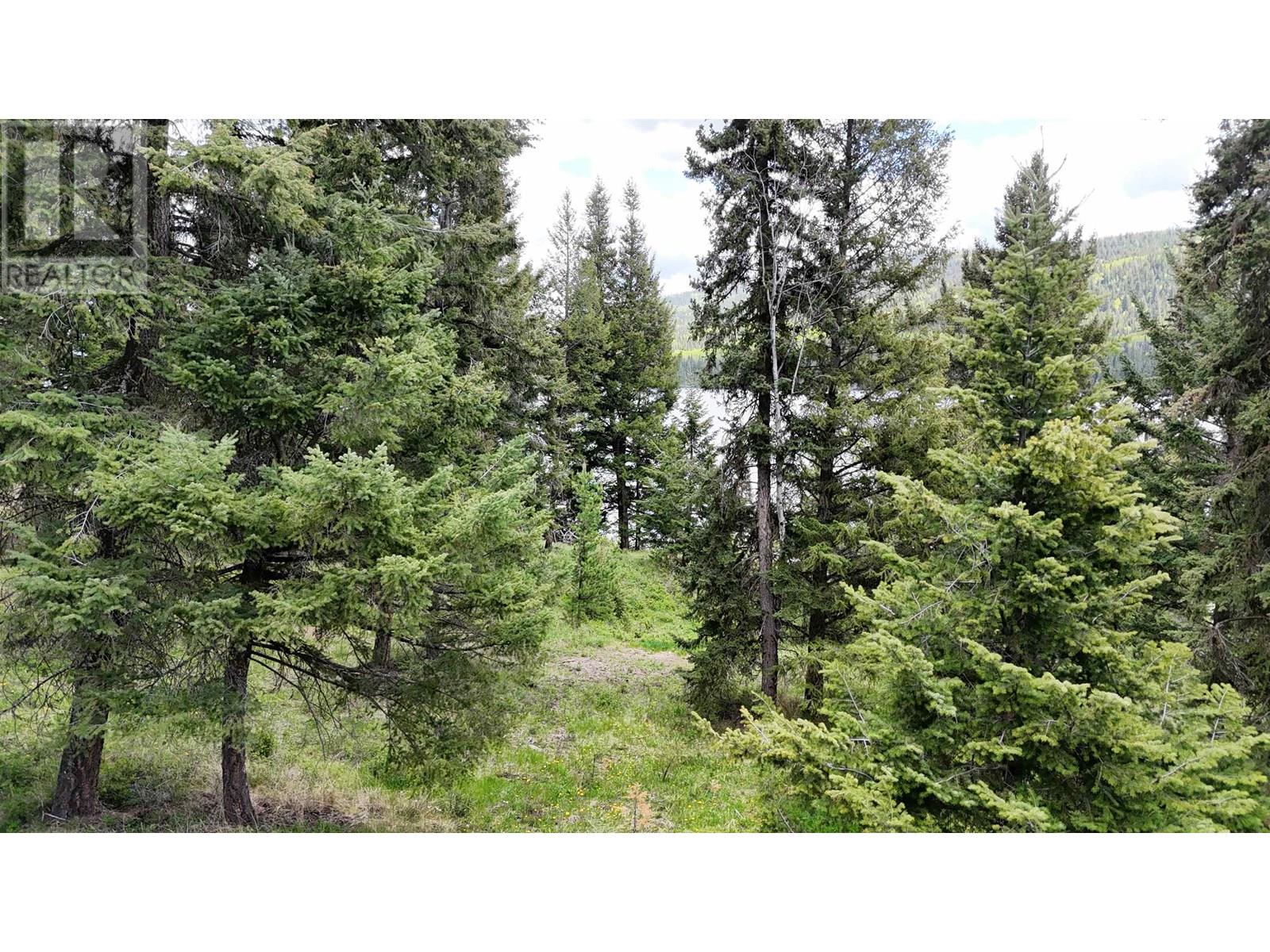 8680 Eagan Lake Road, Bridge Lake, British Columbia  V0K 1E0 - Photo 10 - R3013313