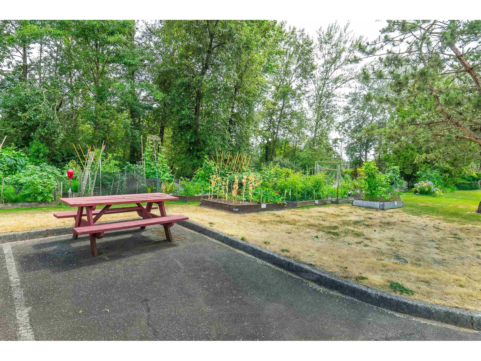 55 15020 66a Avenue, Surrey, British Columbia  V3S 2A5 - Photo 35 - R3012910