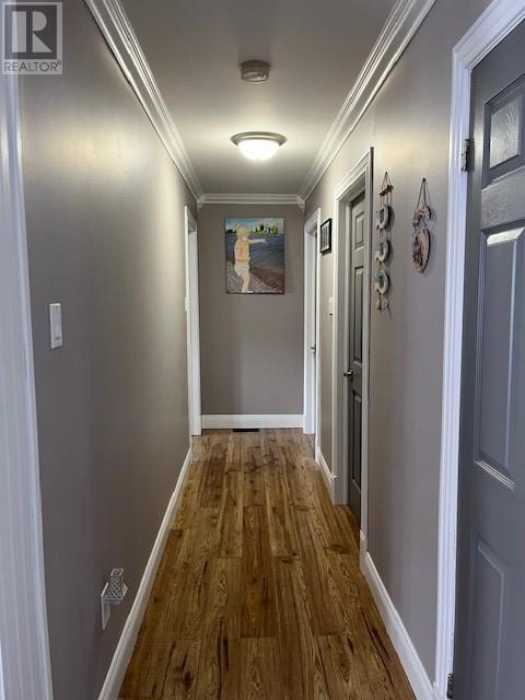 352 Main Highway, Salmon Cove, Newfoundland & Labrador  A0A 3S0 - Photo 17 - 1281770