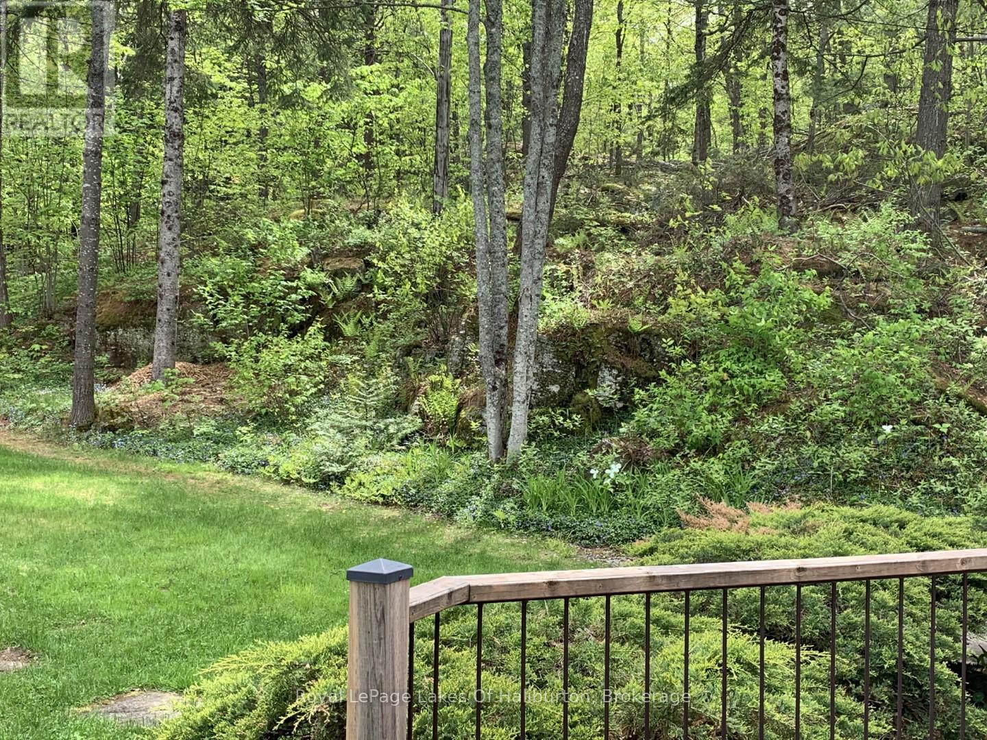 1029 Cam-Walt Trail, Minden Hills, Ontario  K0M 2K0 - Photo 11 - X12194870