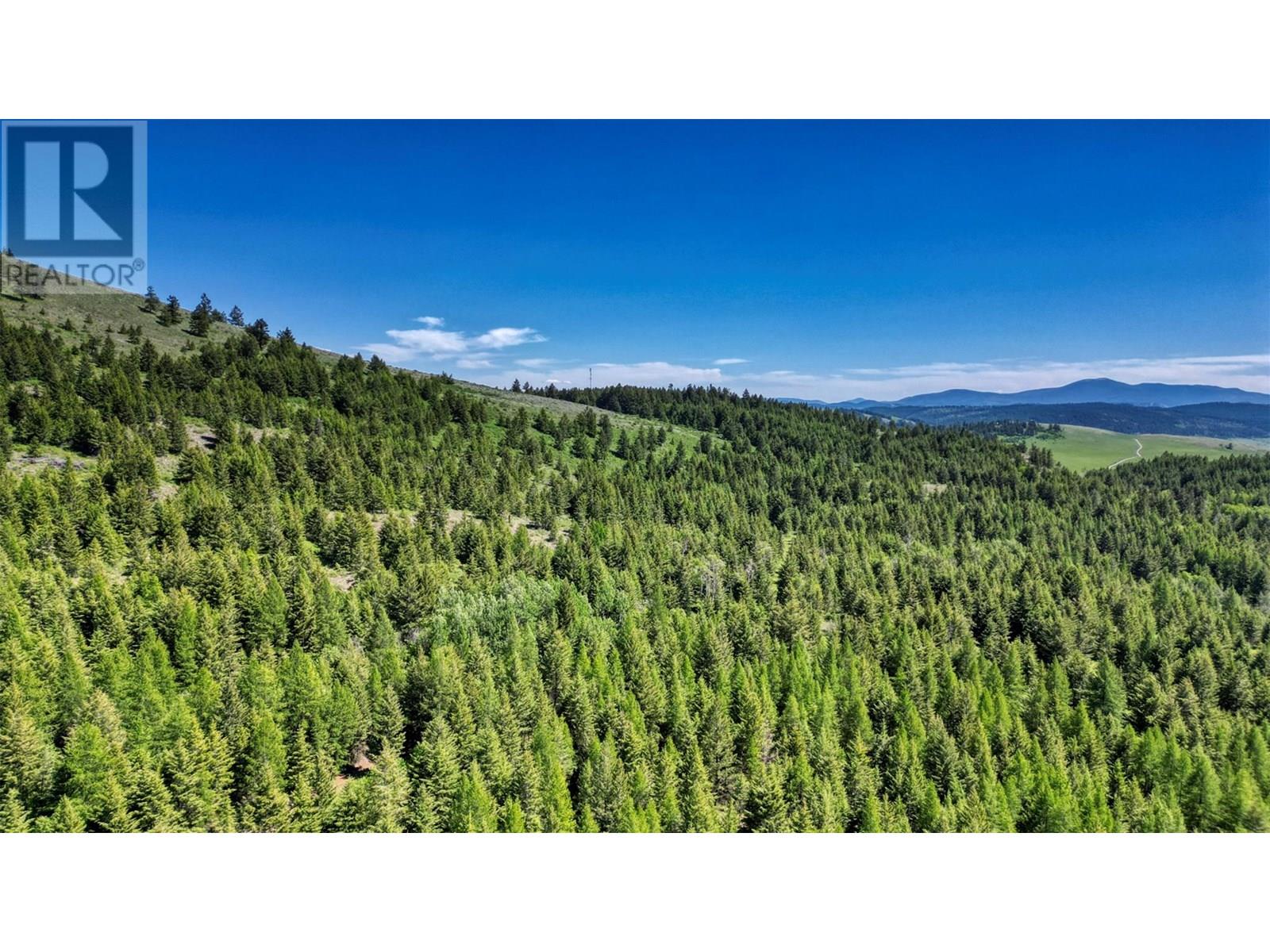 1333 Timberwolf Trail, Bridesville, British Columbia  V0H 1Y0 - Photo 8 - 10351458