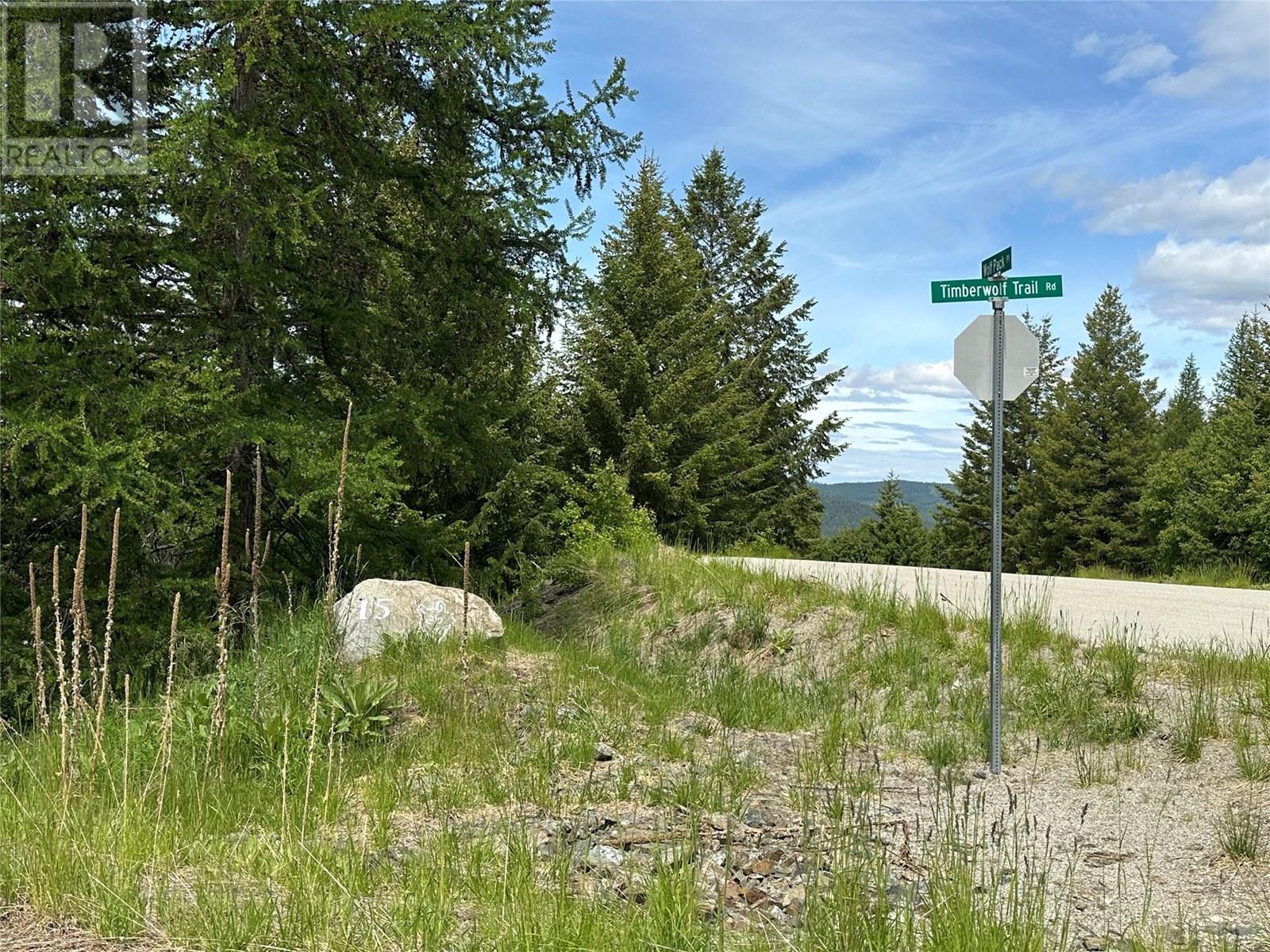 1333 Timberwolf Trail, Bridesville, British Columbia  V0H 1Y0 - Photo 16 - 10351458