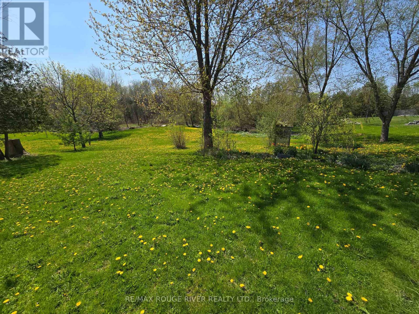 9070 Ashburn Road, Whitby, Ontario  L0B 1A0 - Photo 12 - E12193276