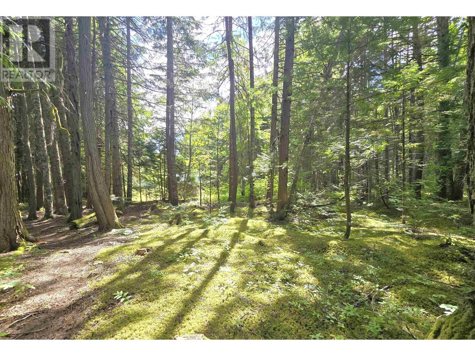 2178 Grandview Drive, Terrace, British Columbia  V8G 0A8 - Photo 6 - R3013739