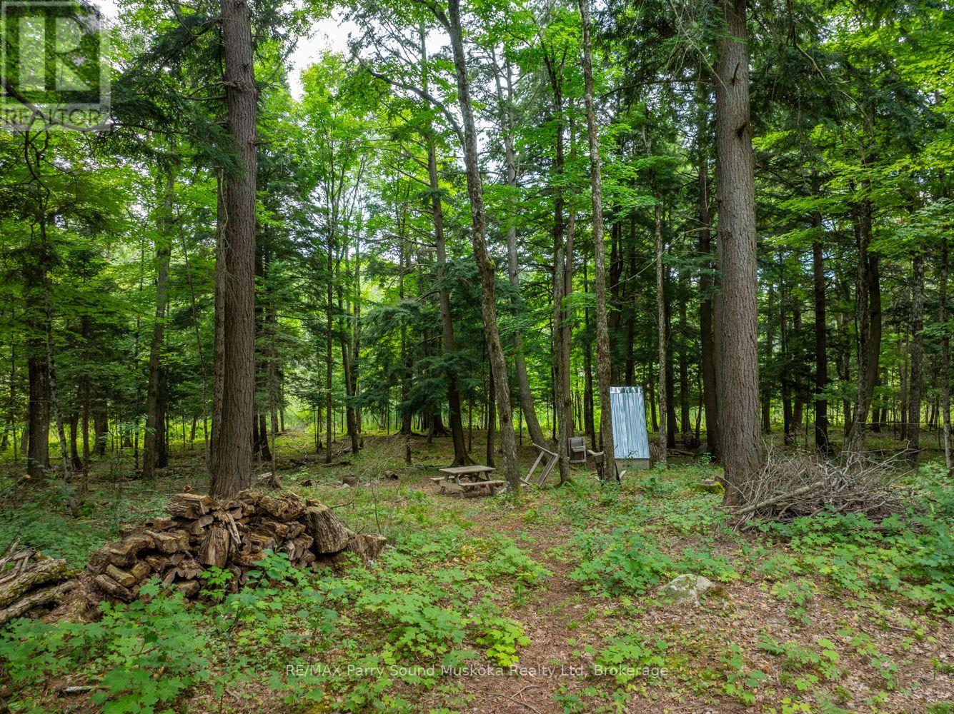 131 Moonwing Road, Magnetawan (Ahmic Harbour), Ontario  P0A 1A0 - Photo 24 - X12211059
