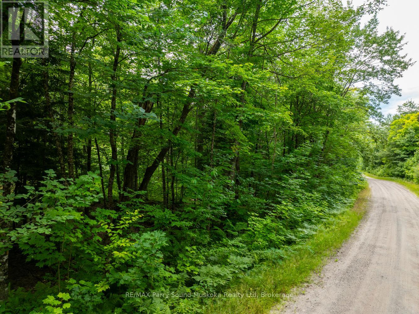 131 Moonwing Road, Magnetawan (Ahmic Harbour), Ontario  P0A 1A0 - Photo 8 - X12211059