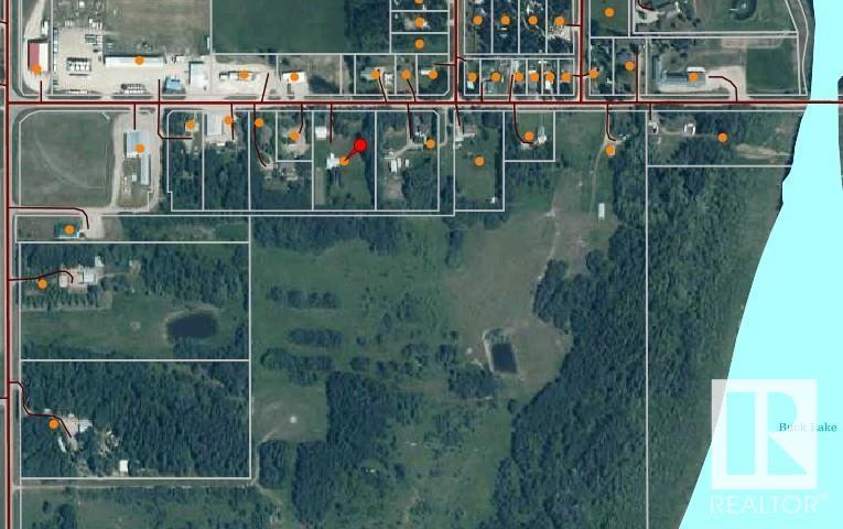 507 Lakeshore Drive Buck Lake, Rural Wetaskiwin County, Alberta  T0C 0T0 - Photo 33 - E4441546