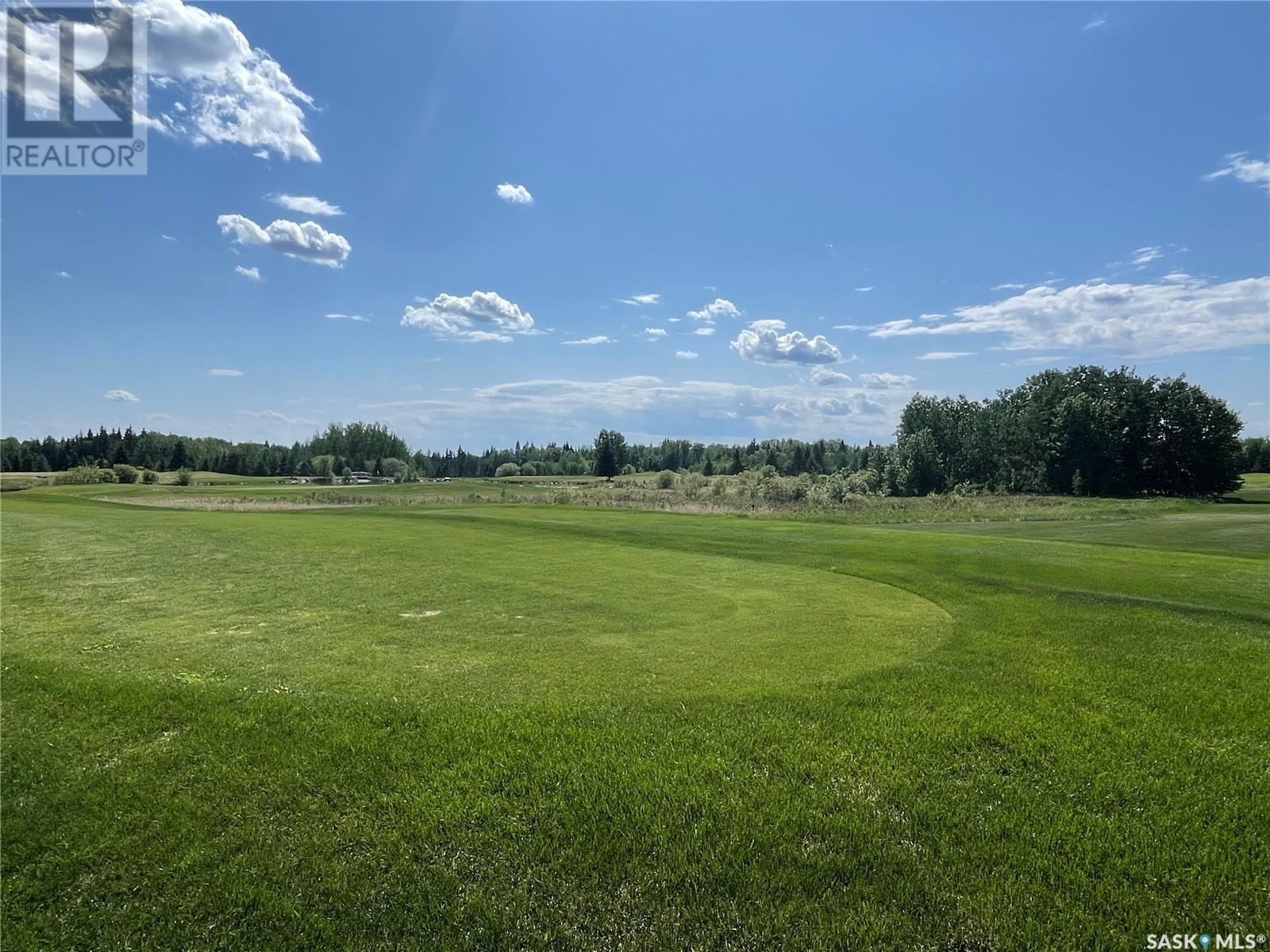 4 Northern Meadows Way, Goodsoil, Saskatchewan  S0M 1A0 - Photo 7 - SK009051