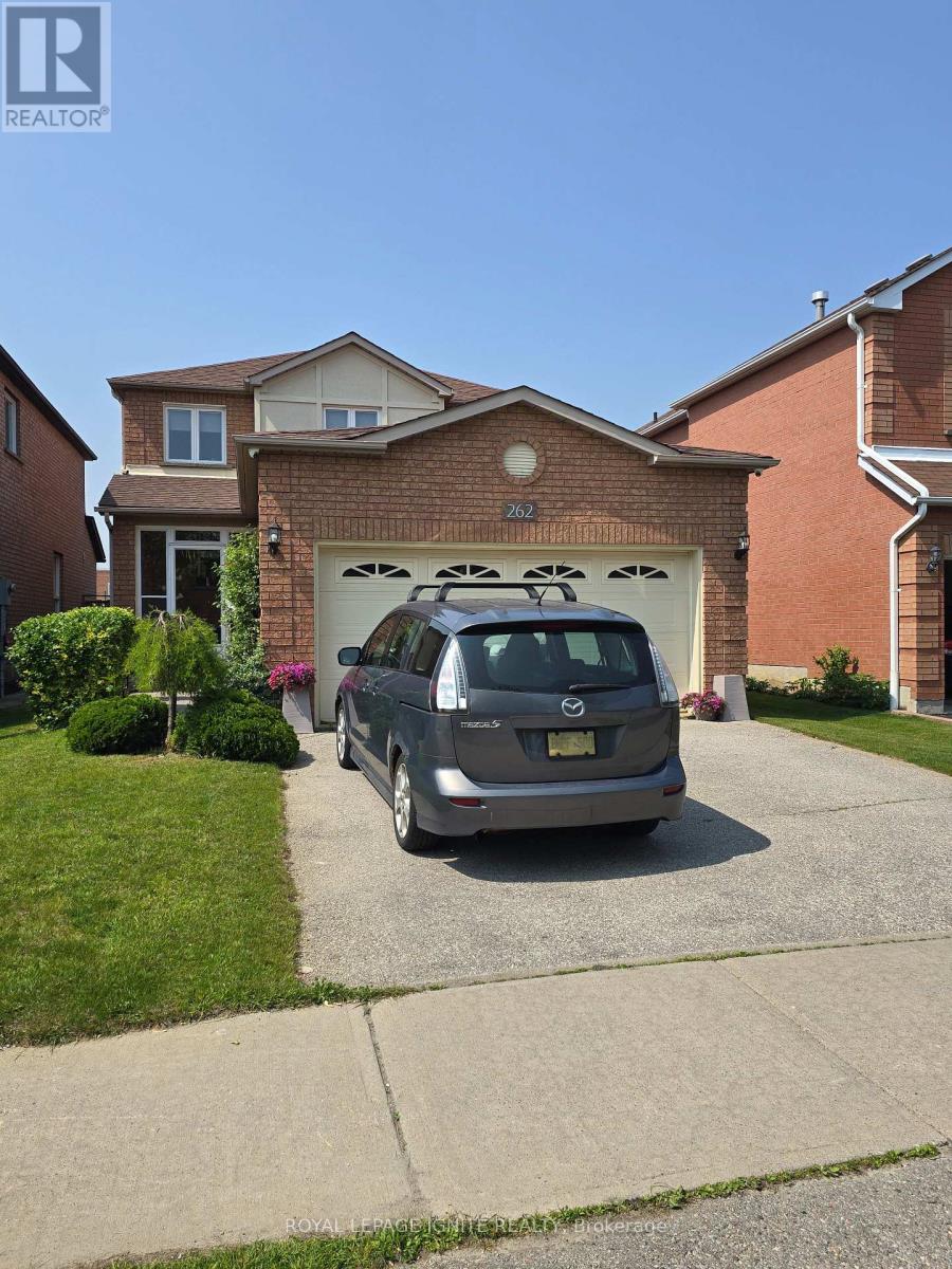 Bsmt - 262 Senator Street, Pickering, Ontario  L1V 6N2 - Photo 1 - E12211007