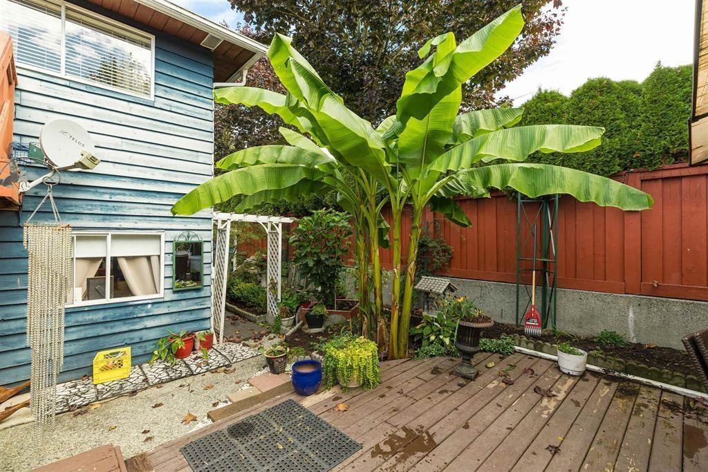 11924 & 11926 90a Avenue, Delta, British Columbia  V4C 3J3 - Photo 36 - R3012925