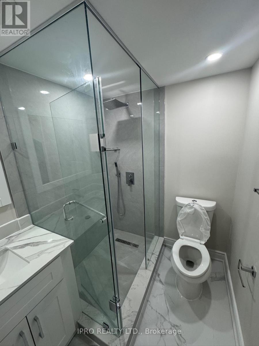Basement - 3964 Beacham Street, Mississauga, Ontario  L5N 6S9 - Photo 15 - W12210984