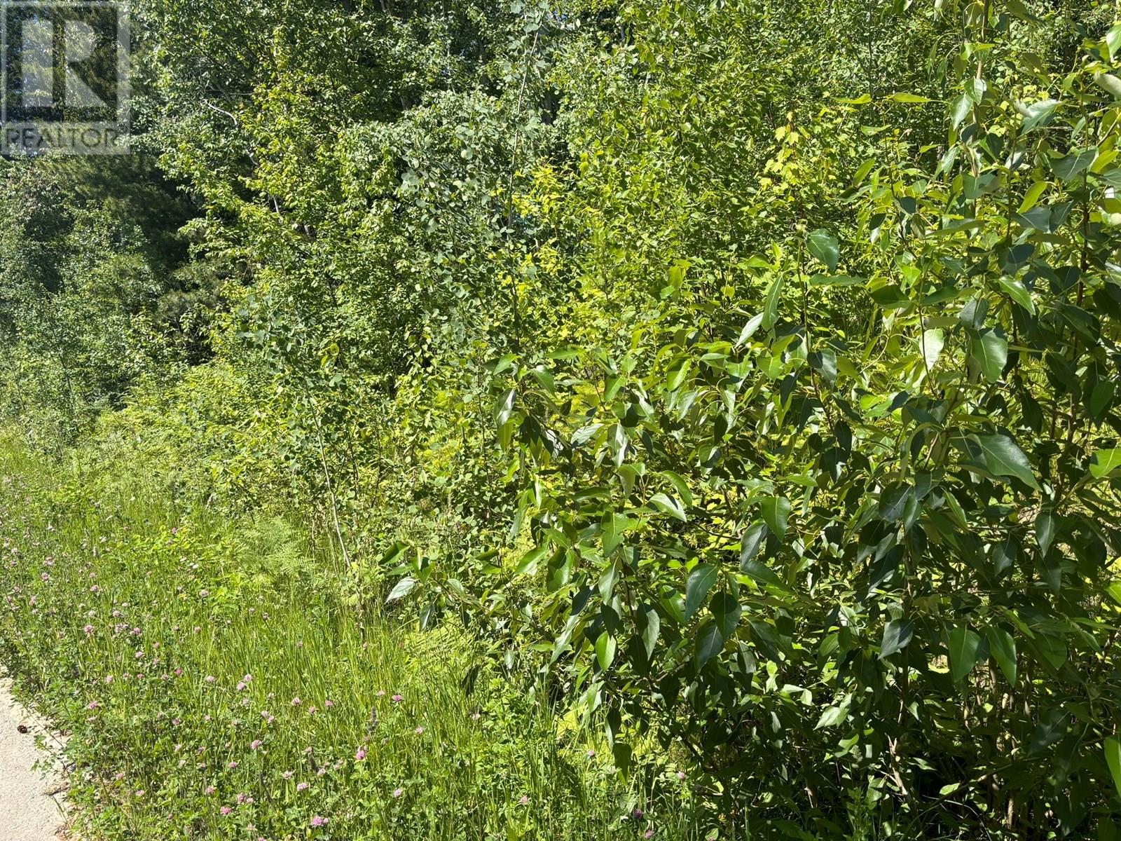 Lot 68 Squilax-Anglemont Road, St. Ives, British Columbia  V0E 1M9 - Photo 3 - 10351676