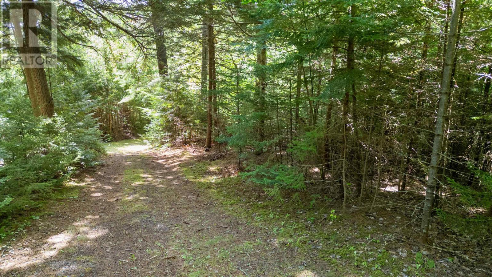 868 Egypt Road, 868 Little Egypt Road, Little Harbour, Nova Scotia  B0K 1X0 - Photo 11 - 202514097