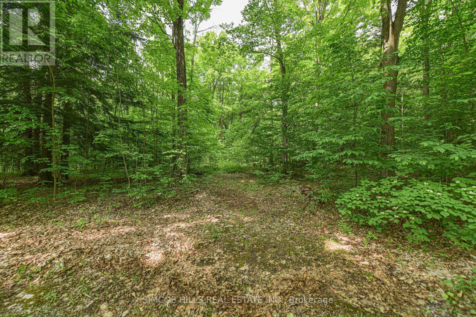 131 Eady Station Road, Oro-Medonte, Ontario  L0K 1E0 - Photo 7 - S12211150