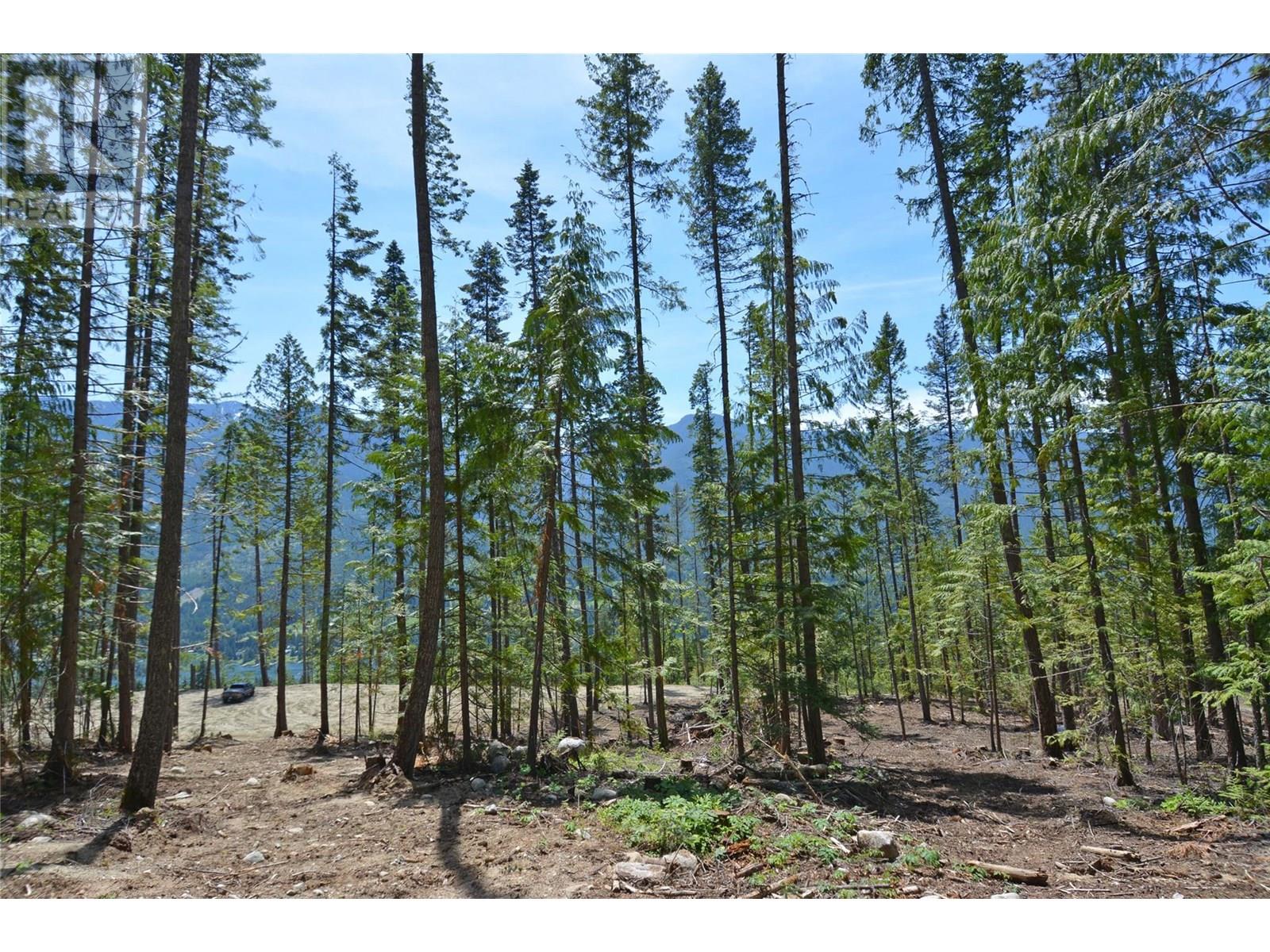 Dl 7620 Rogers Road, Balfour, British Columbia  V1L 6S6 - Photo 12 - 10351696