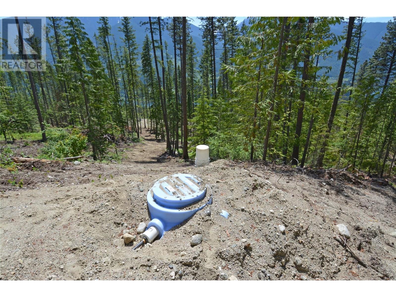 Dl 7620 Rogers Road, Balfour, British Columbia  V1L 6S6 - Photo 14 - 10351696